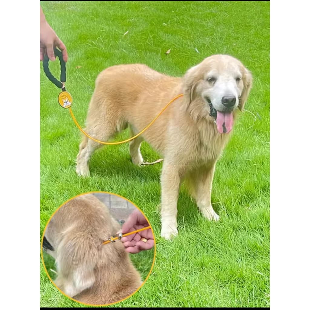 Coleira Guia Para Cachorro sem cabo Grande Porte Reforçada Anti Puxão, Enforcador Cachorro Coleira de Aço Inox, Adestrador, Corrida Trela Arnês para