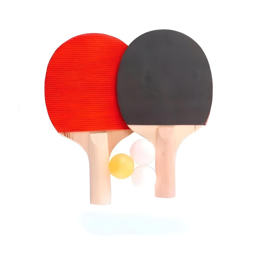 Kit Ping Pong Com 2 Raquetes E 3 Bolinhas Envio Já !