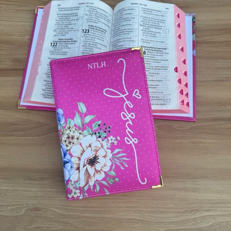Biblia Ntlh Ester sbb - Capa dura acolchoada com índice