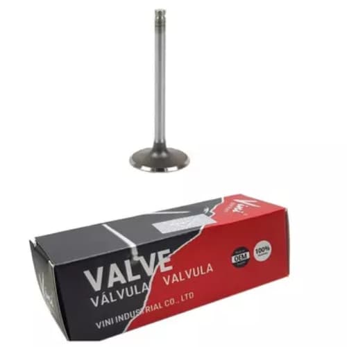 Válvula Admissão Cg 160 Titan Fan Start 2016/Nxr 160 Bros 2016