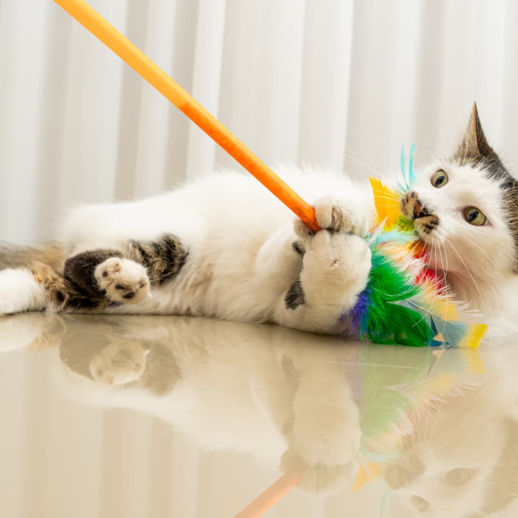 Varinha Brinquedo para Gatos Top Penas Interativa com Chocalho e Penas Coloridas