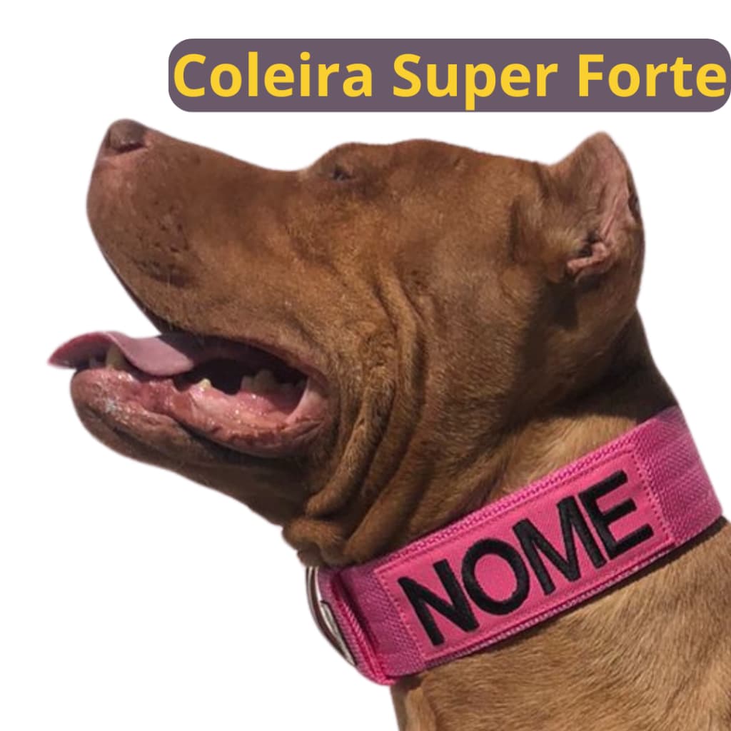 Coleira personalizada para cachorro de médio, grande e gigante porte.
