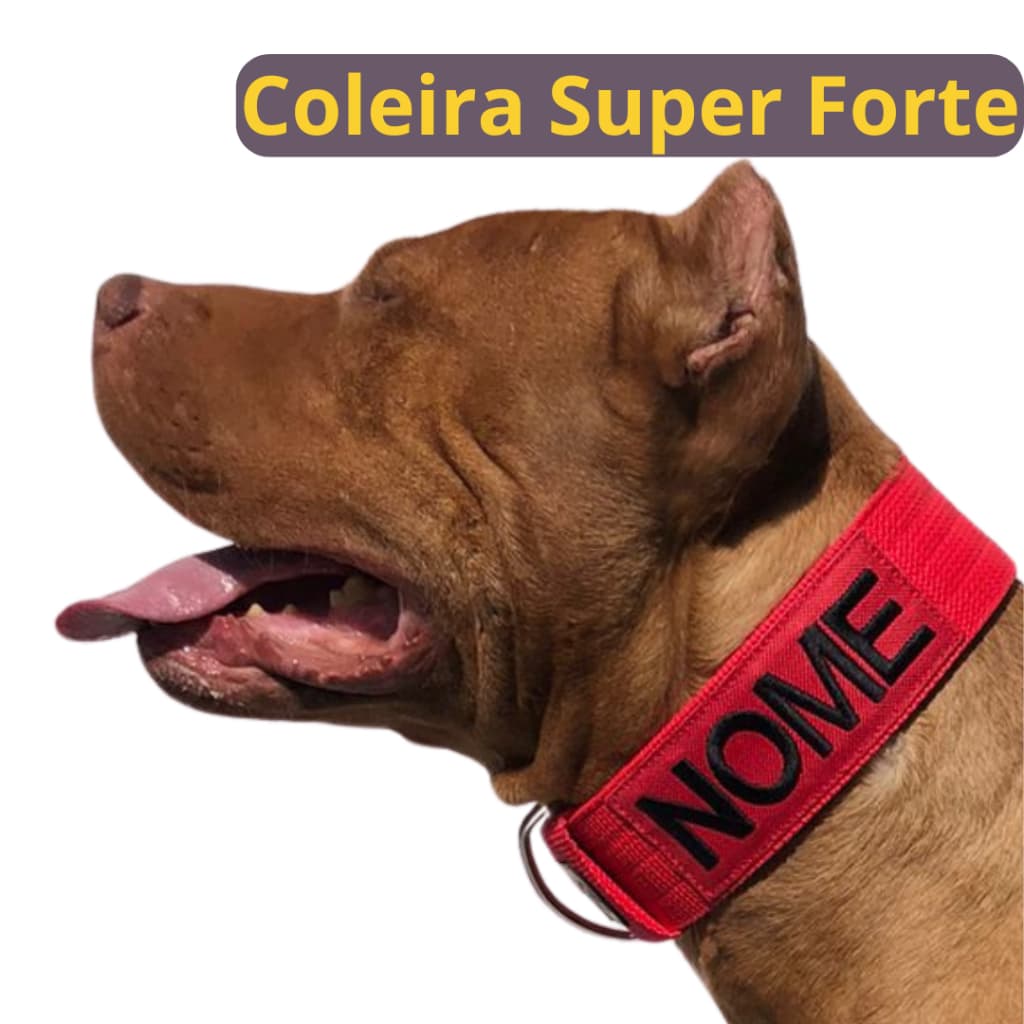 Coleiras personalizadas para cachorros de médio, grande e gigante porte.