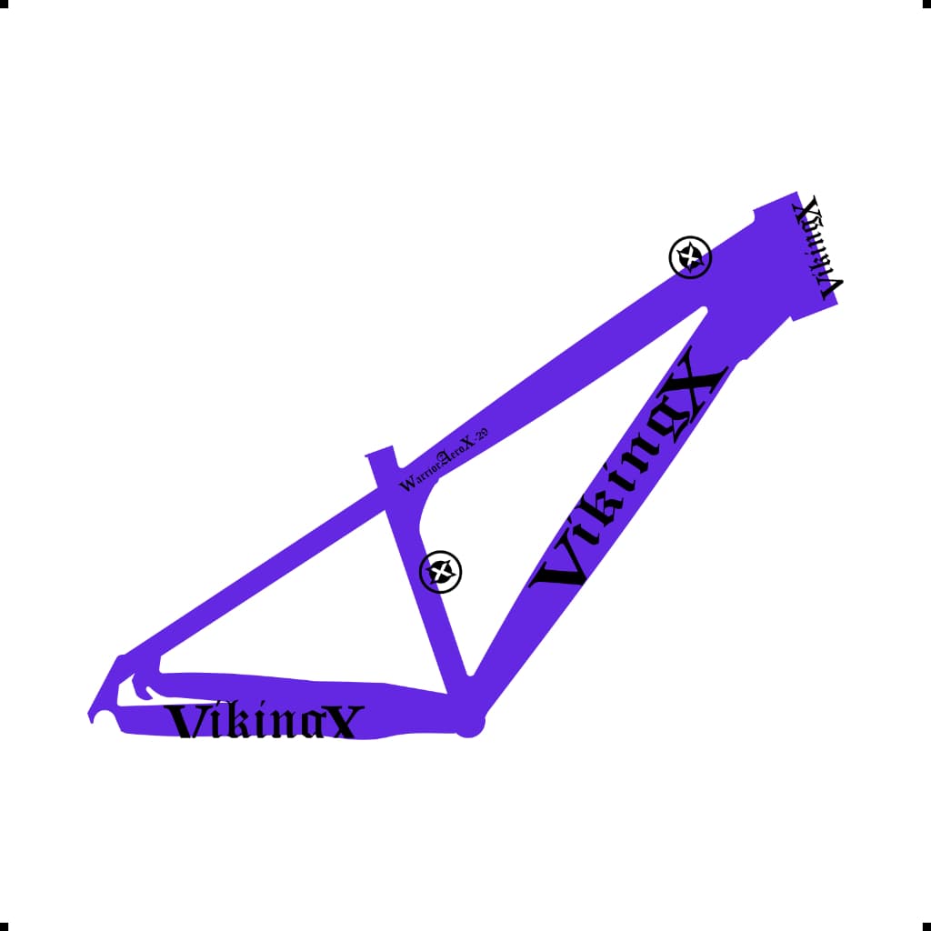 Adesivo para quadro modelo Viking-X WarriorAeroX-29