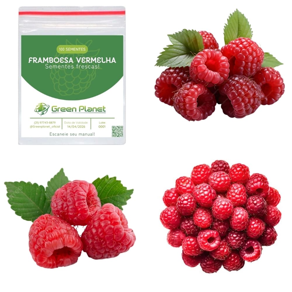 100 Sementes de Framboesa Vermelha - Faça sua Horta!
