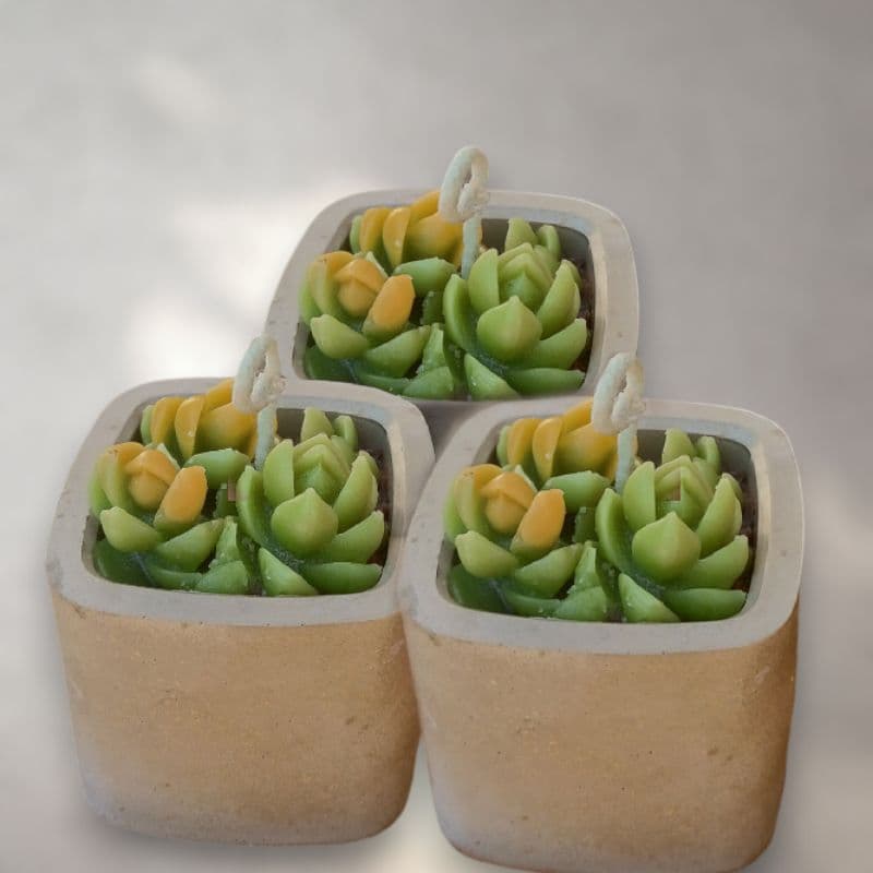 Mini Vela Aromática Suculenta/ artesanal/ recipiente cimento
