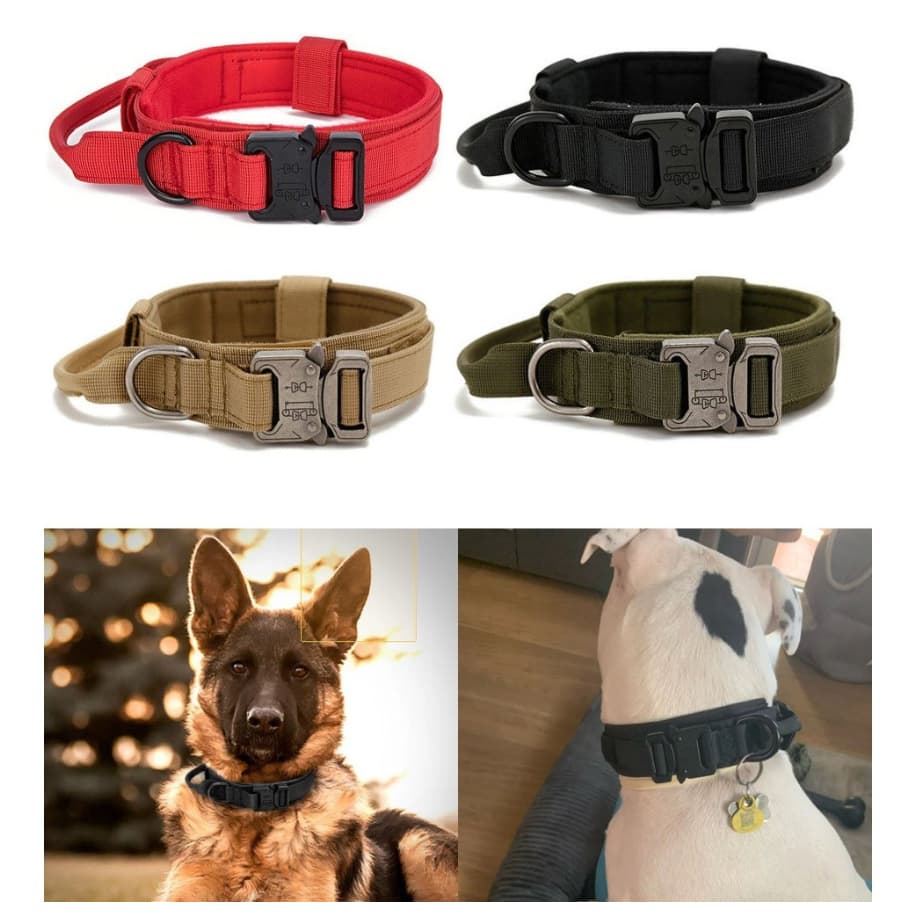 Coleira Tática Militar Ajustável Resistente Para Cachorro Com Alça Treinamento Pet Grande Porte