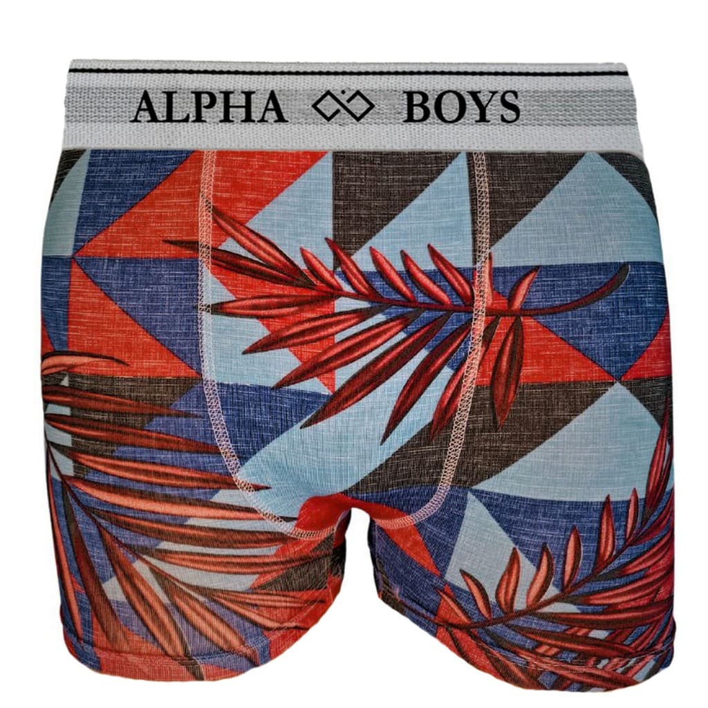 Kit 10 Cuecas Boxer Infantil de Microfibra Alpha Boys Original Roupas Masculinas