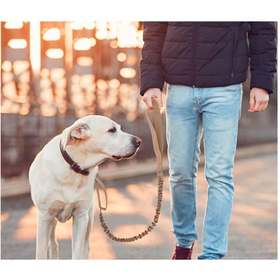 Guia Corda Tática Militar Para Passeio Treinamento Cães Cachorro Grande Médio Porte Resistente