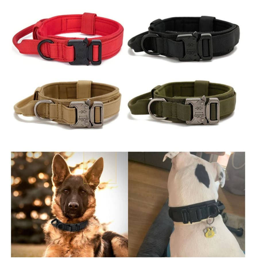 Coleira Tática Militar Ajustável Resistente Para Cachorro Com Alça Treinamento Pet Grande Porte