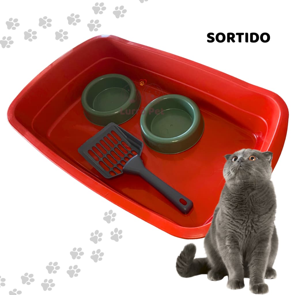 Bandeja Caixa de areia para Gatos + Pá cata Caca + Comedouro + Bebedouro Pet