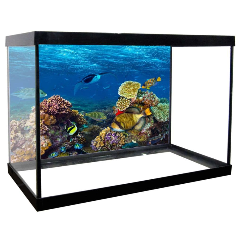 Adesivo Decorativo Vinilico PRÓPRIO Para Fundo De Aquario MAR CORAL PEIXES ALTA RESOLUÇÃO HD - AQ08