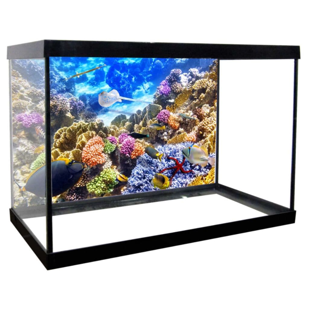 Adesivo Decorativo Vinilico PRÓPRIO Para Fundo De Aquario MAR CORAL PEIXES ALTA RESOLUÇÃO HD - FD01