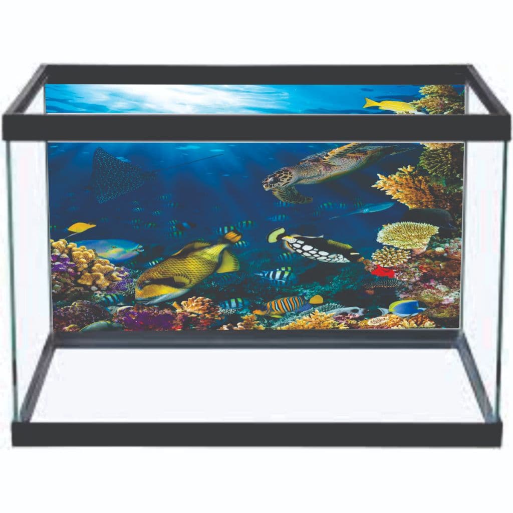 Adesivo Decorativo Vinílico PRÓPRIO Para Fundo De Aquário MAR CORAL PEIXES ALTA RESOLUÇÃO HD - AQ02