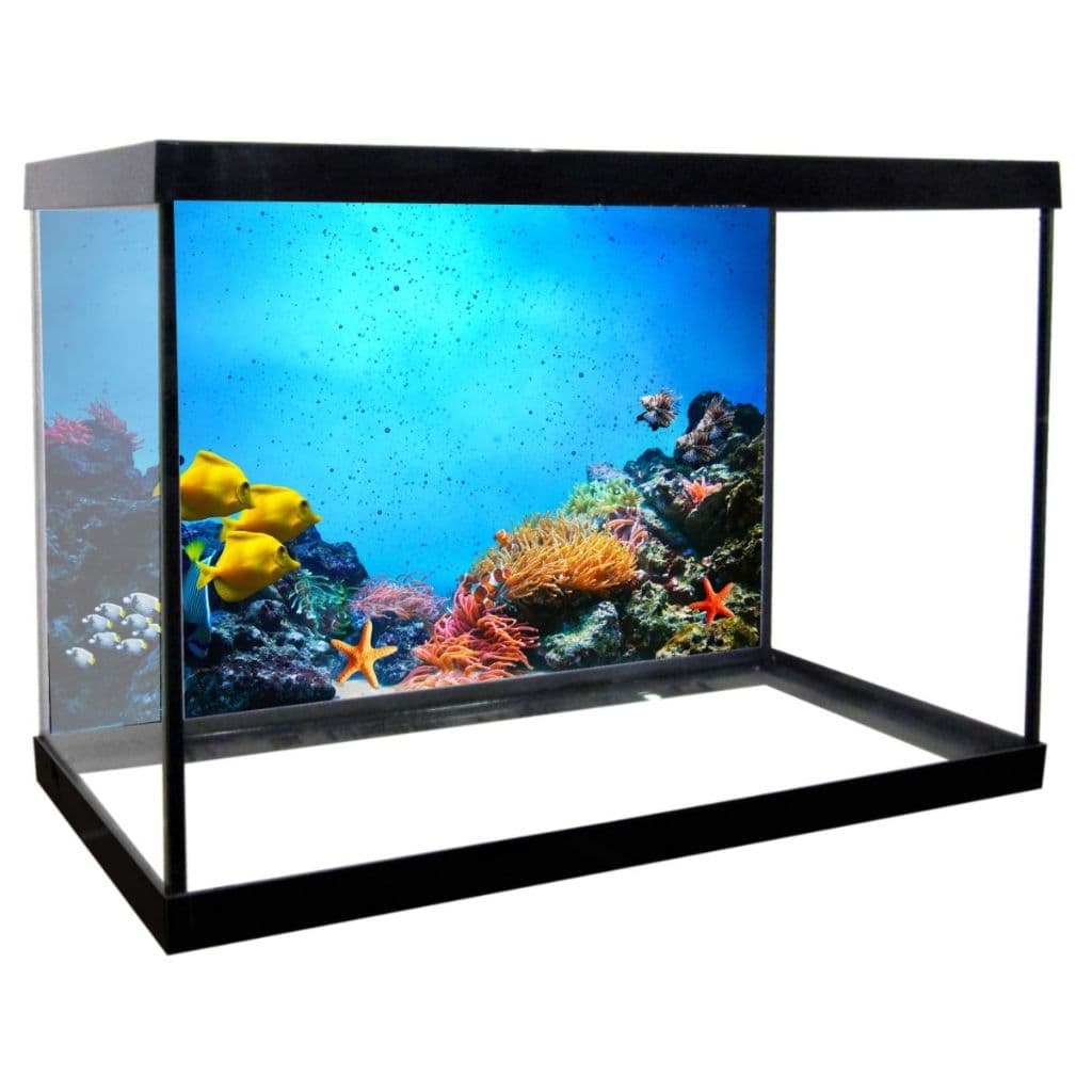 Adesivo Decorativo Vinilico PRÓPRIO Para Fundo De Aquario MAR CORAL PEIXES ALTA RESOLUÇÃO HD - FD02