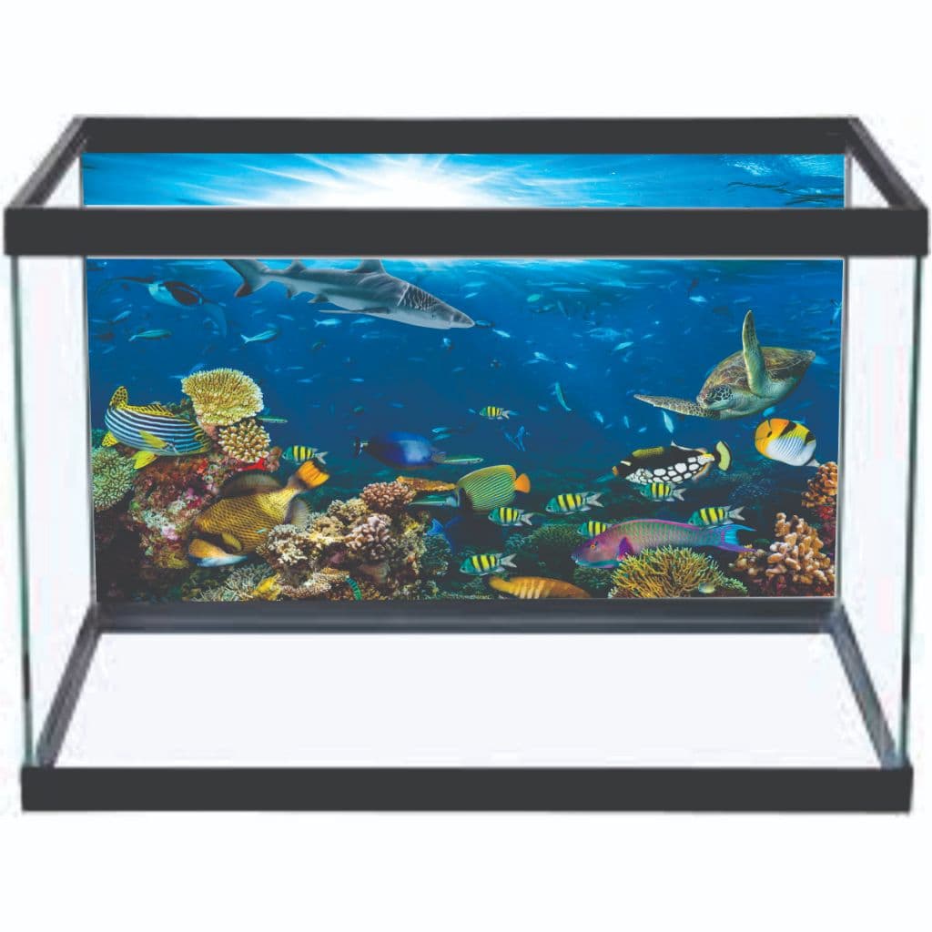 Adesivo Decorativo Vinilico PRÓPRIO Para Fundo De Aquario MAR CORAL PEIXES ALTA RESOLUÇÃO HD - AQ04