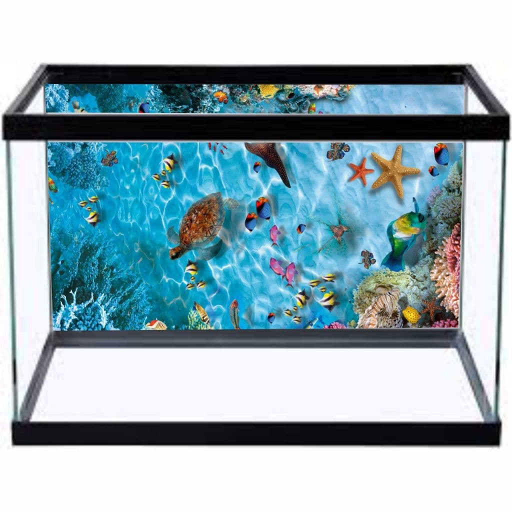 Adesivo Decorativo Vinilico PRÓPRIO Para Fundo De Aquario MAR CORAL PEIXES ALTA RESOLUÇÃO HD -AQ01
