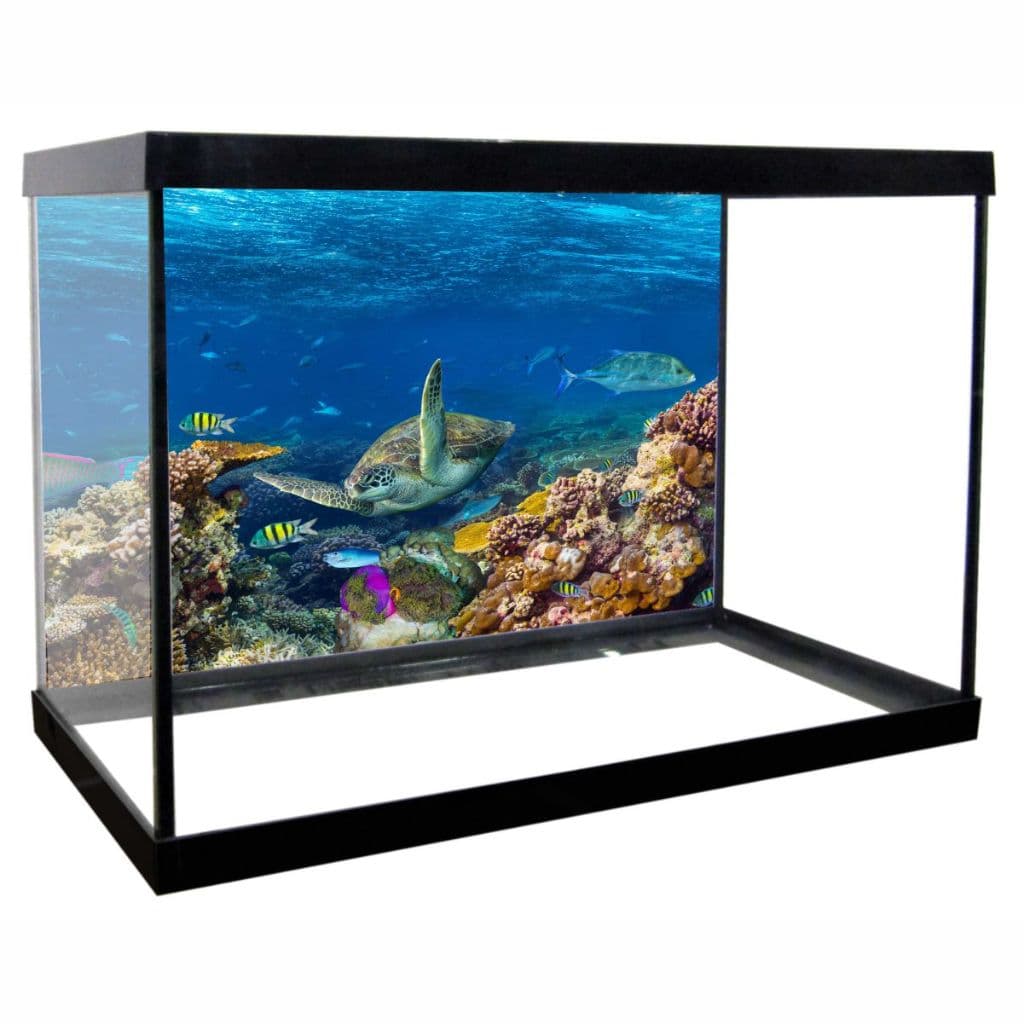Adesivo Decorativo Vinilico PRÓPRIO Para Fundo De Aquario MAR CORAL PEIXES ALTA RESOLUÇÃO HD - AQ07