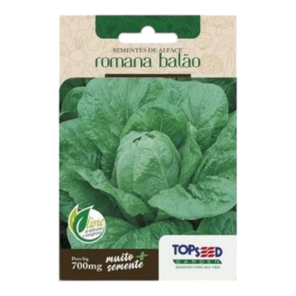 Sementes da Alface Romana Para Hortas