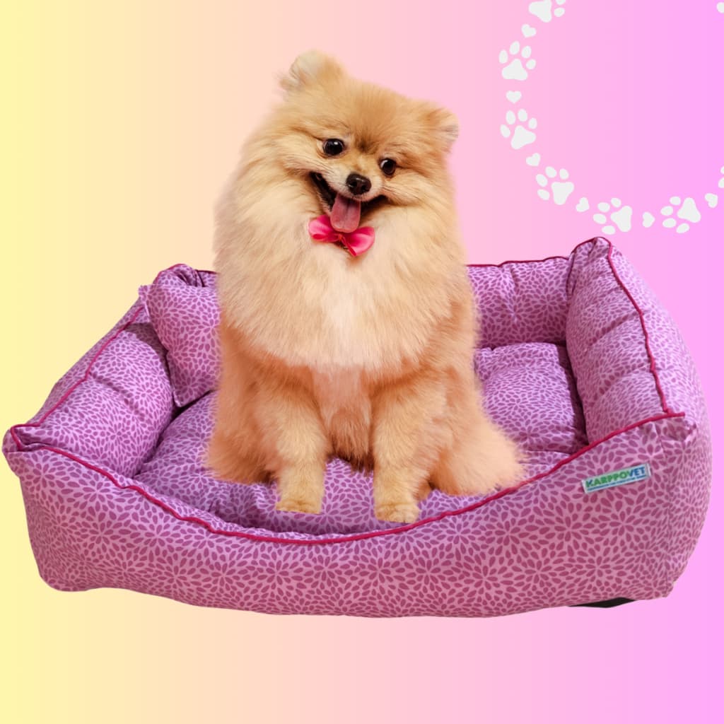 Cama Caminha cachorro pet Luxo CONFETE ROSA, com travesseiro exclusivo