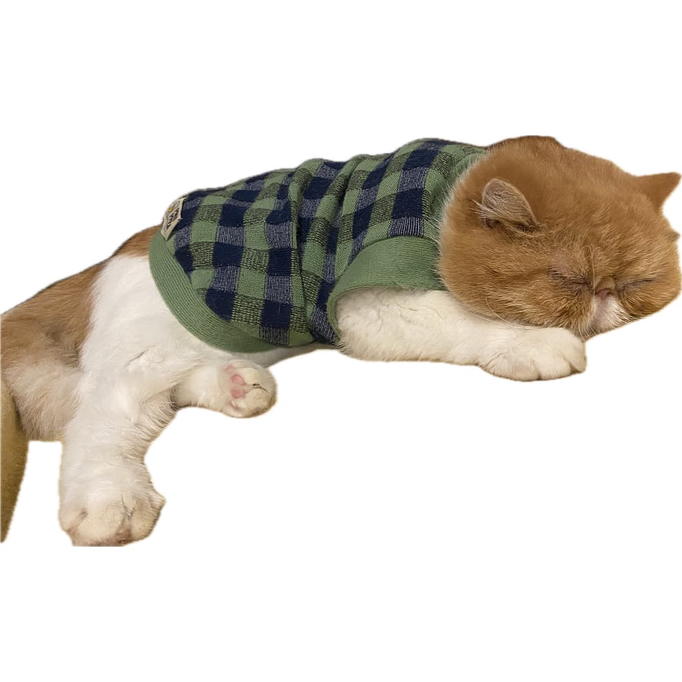Roupa para Pet em Tricô Gato Cachorro Super Confortável e Quentinha Tamanho 5