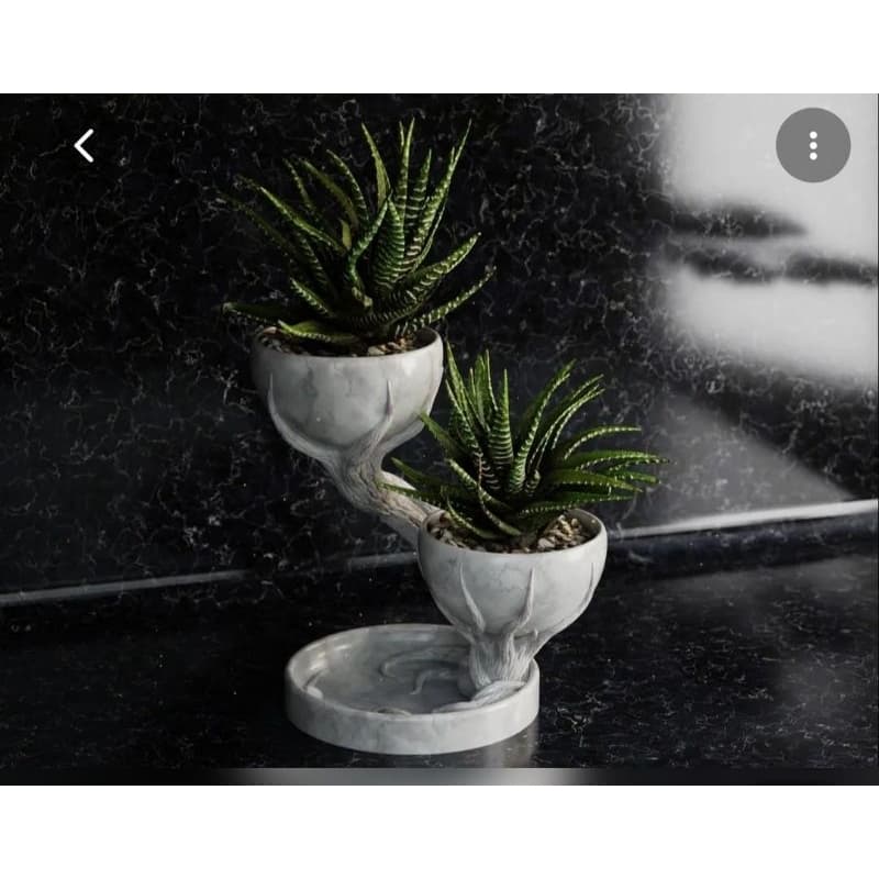 Vasinho De Planta Duplos