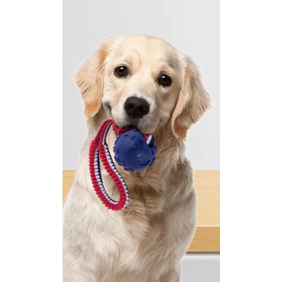 Mastigadores De Bolas De Corda Resistentes  para cachorro(0022)