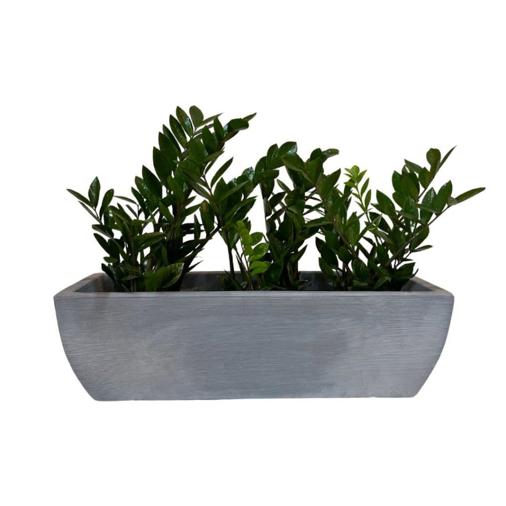Jardineira Floreira 80x25cm Decorativa De Polietileno Para Plantas