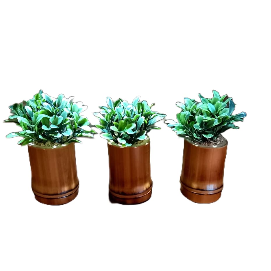 Vasinho Artificial De Buxinho Verde, Kit 3 unidades, Com Vaso De Bambu Natural