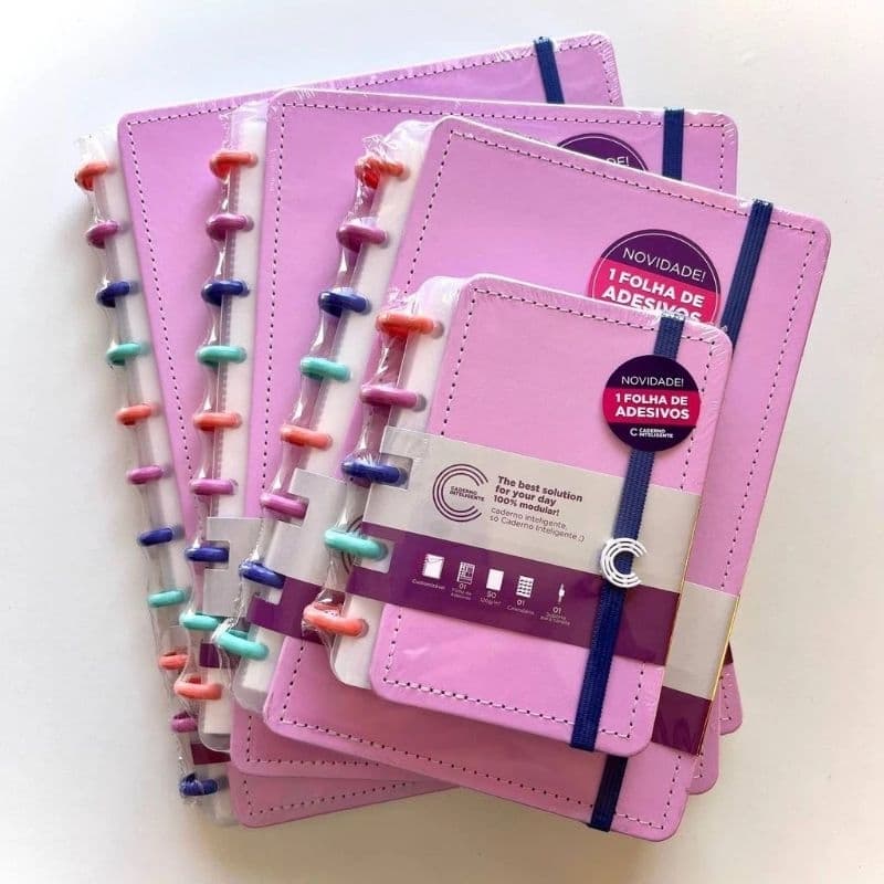 Caderno Inteligente Bubble / Caderno Inteligente Lilás / Caderno de Disco  / Papelaria