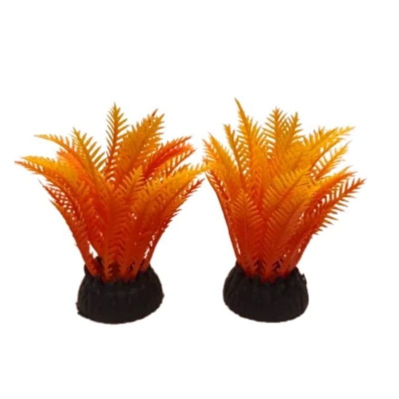 02 Mini algas para aquário Decoração mini algas Enfeite para aquário