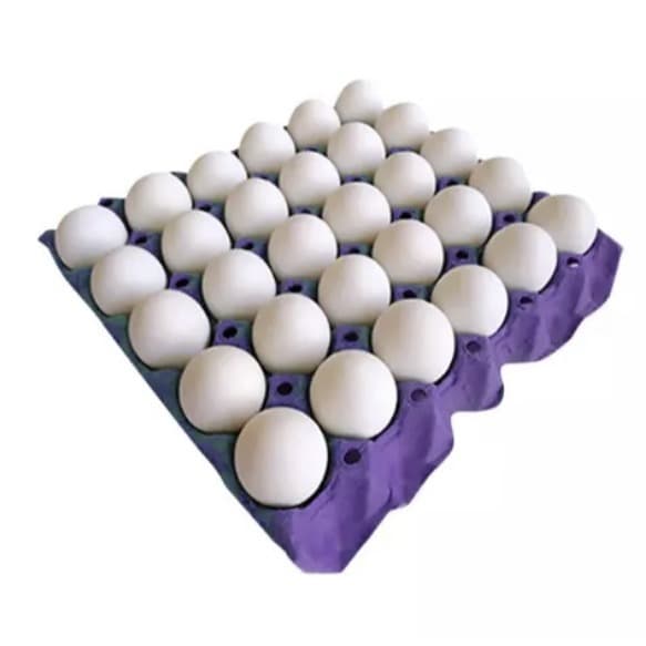 180 cartelas para 30 ovos COR ROXO/ kit bandeja para 30 ovos / kit bandejas para 30 ovos / Cartela para 30 ovos /  Cartelas  para 30 ovos / Forma para 30 Ovos de galinha  / Embalagem Papelao 30 ovos.