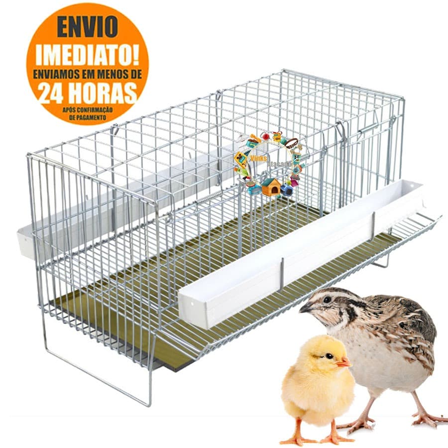 Gaiola COMPLETA Para Codorna Poedeira Aves Completa Chocadeira Criadeira de Pintinhos Aves