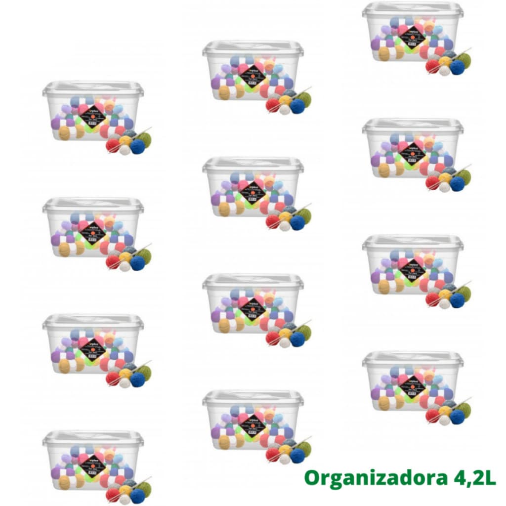 Kit com 12 Caixas Organizadoras Multiuso Transparente 4,2 Litros