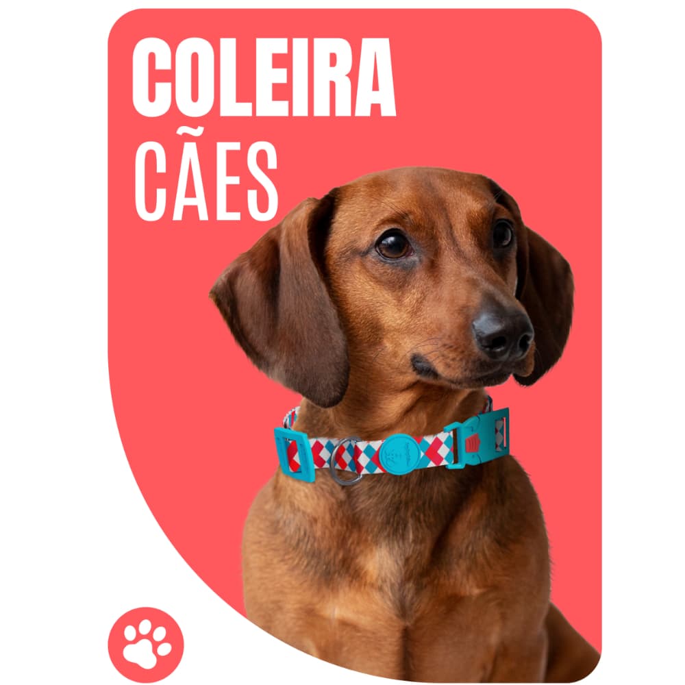 Coleira meuAuAu - Bulldog Francês, Pug, todas raças