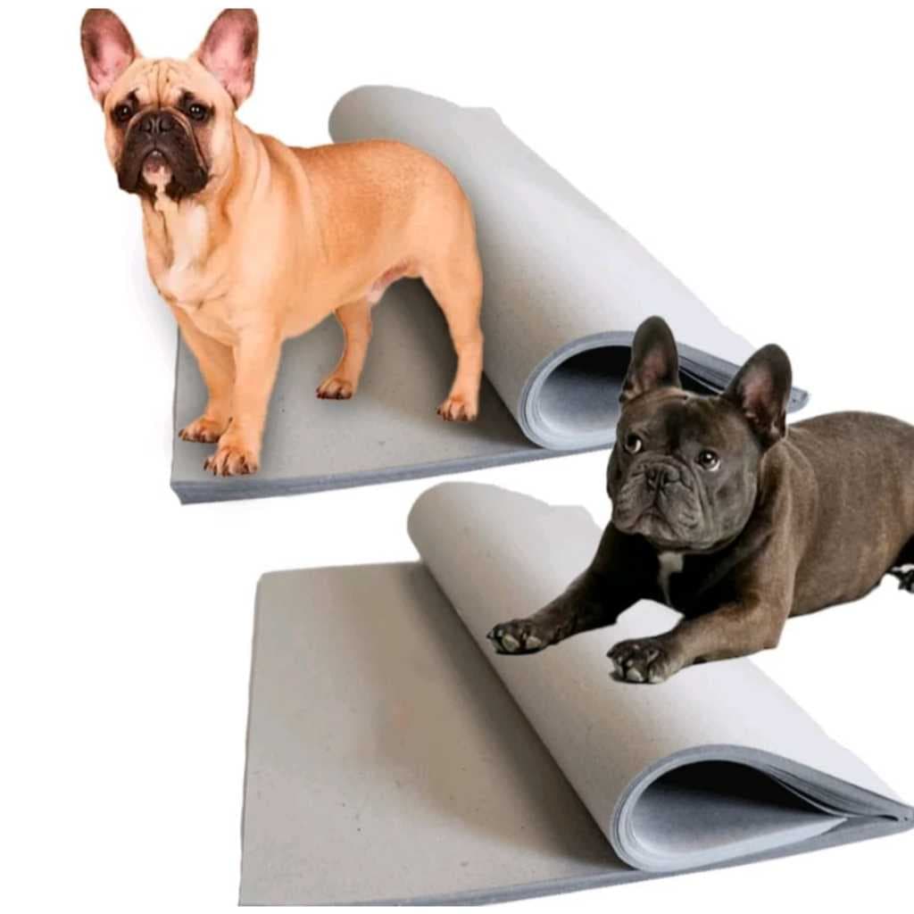 Jornal Pet 2KG, 3KG, 4KG, 5KG Tapete pet Biodegradável FOLHAS EXTRA GRANDE 72x49 GIGANTES