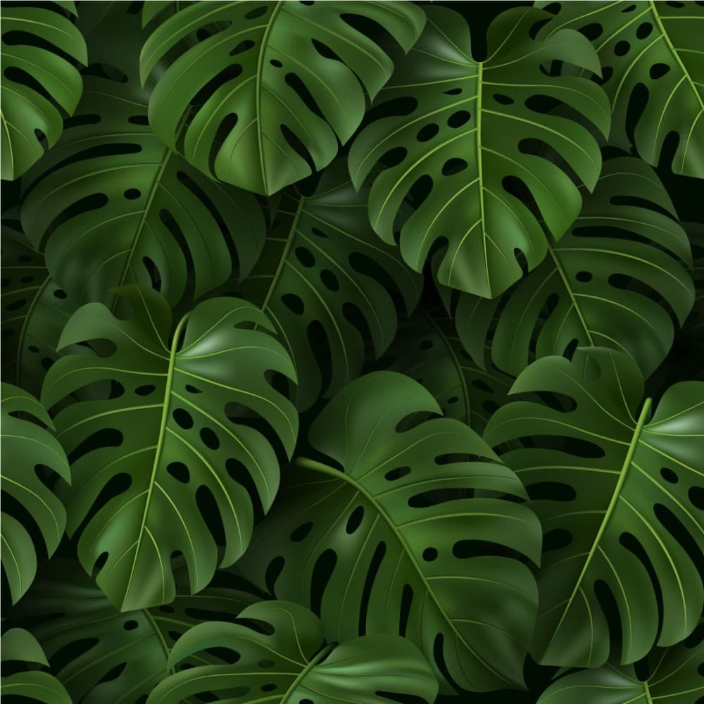 Papel de Parede Adesivo Floral Costela de Adão Verde 3D Vinílico Lavável
