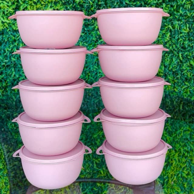 10 pote redondo bowl Rosa