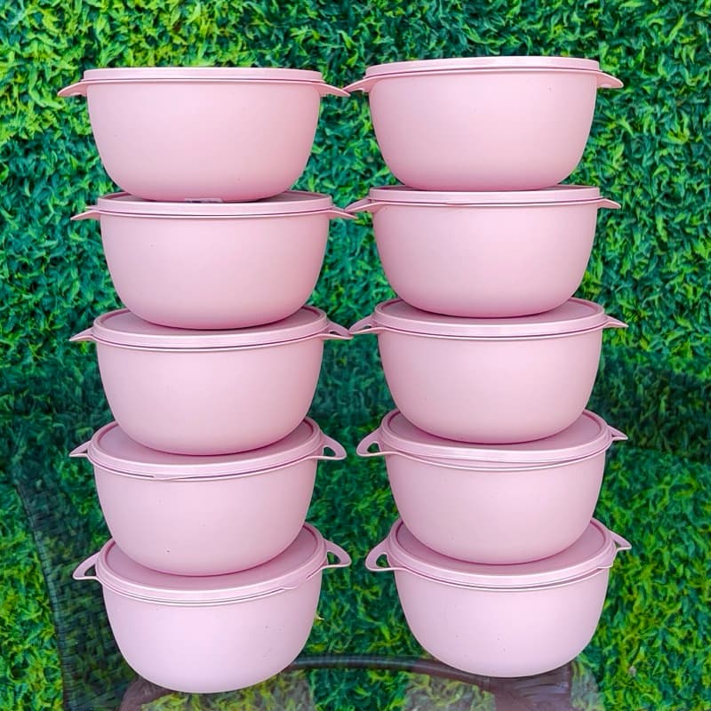 10 pote redondo 1 litro bowl