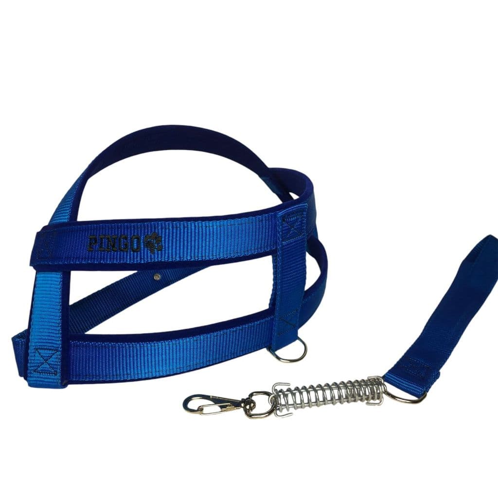 peitoral luxo para cachorros de pequeno medio e grande porte aveludado com personalização de nome