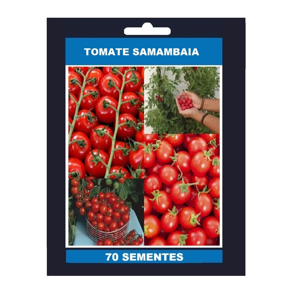 70 SEMENTES DE TOMATE SAMAMBAIA