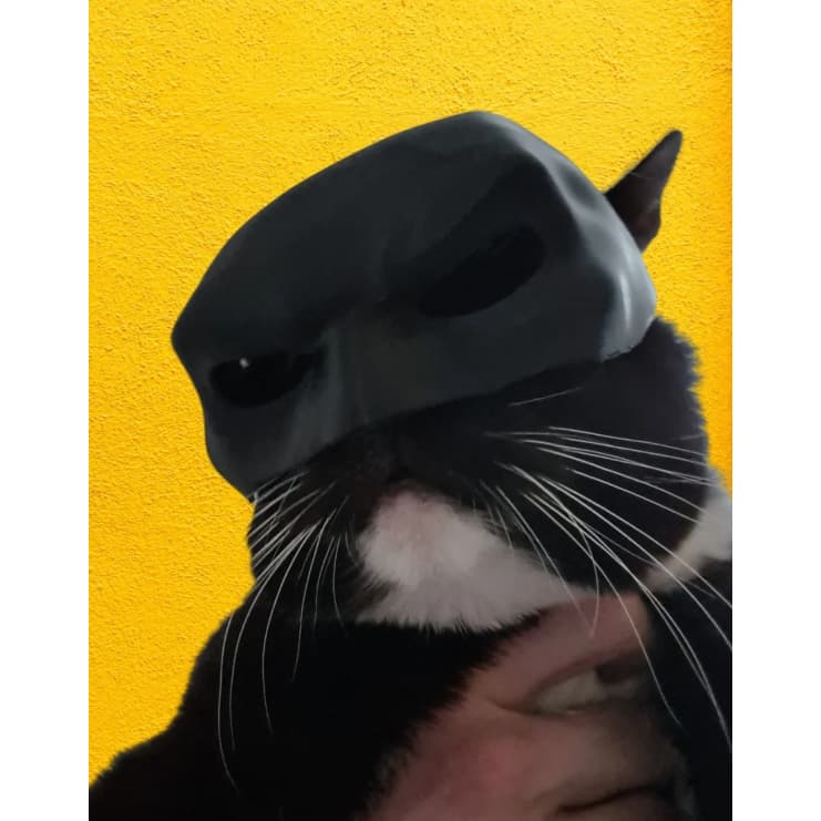 Bat-Cat Mascara do Batman para seu Gato
