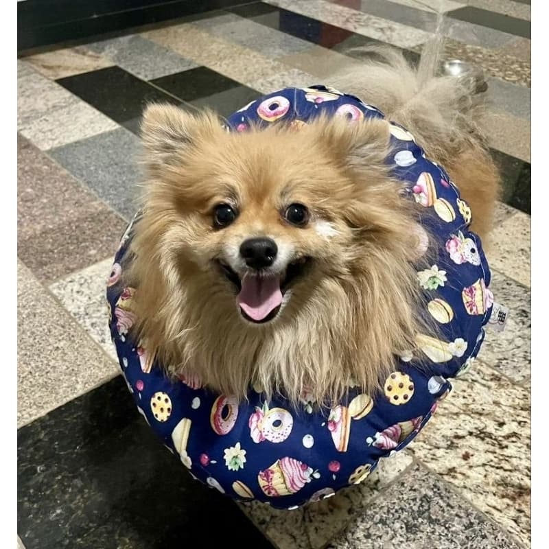 Colar elizabetano de tecido CÃES PEQUENO PORTE