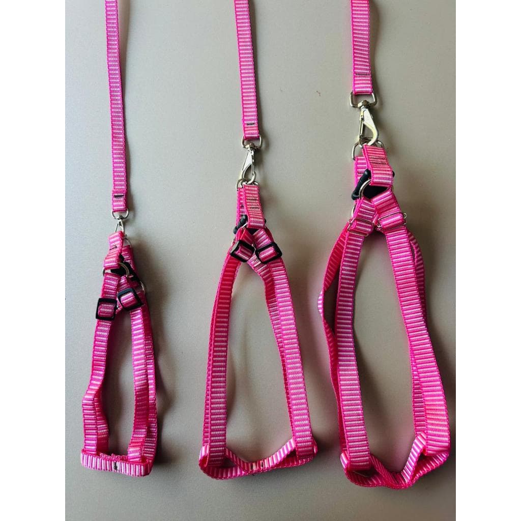 Peitoral 4 patas cachorro grande medio e pequeno porte + barato do mercado muito resistente