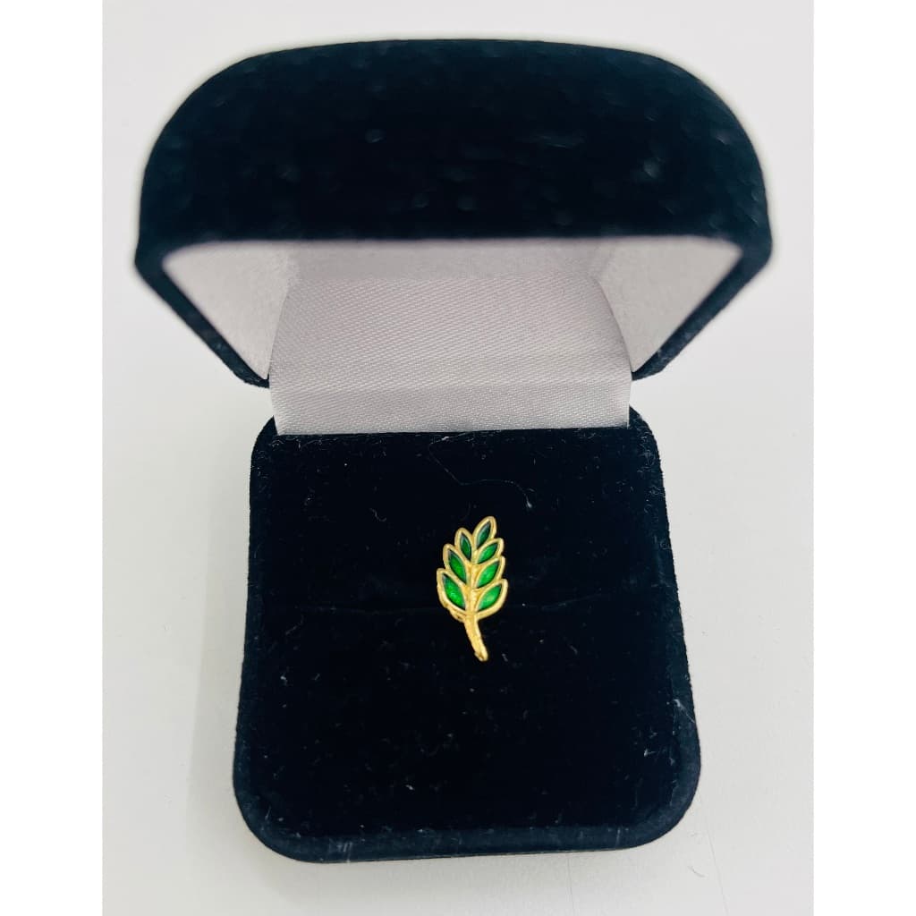 Botom Pin Maçom Maçonaria Ramo Acacia