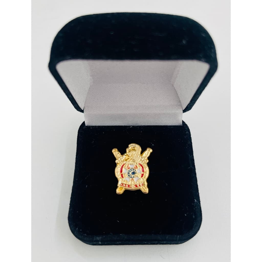 BOTOM PIN MAÇOM MAÇONARIA DEMOLAY DOURADO
