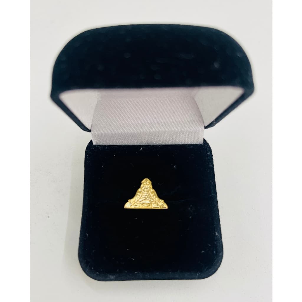 Botom Pin Maçonaria Primeiro Vigilante  Dourado