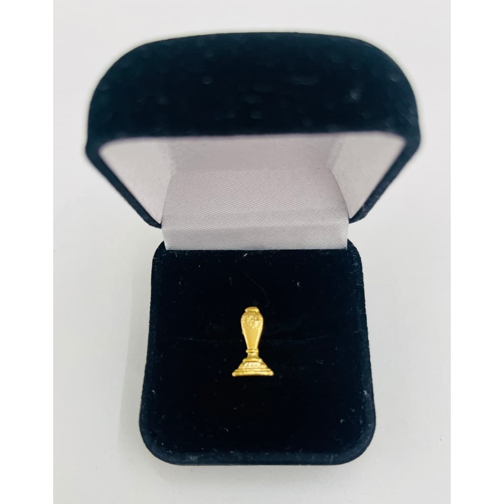 Botom Pin Maçonaria Chanceler Dourado