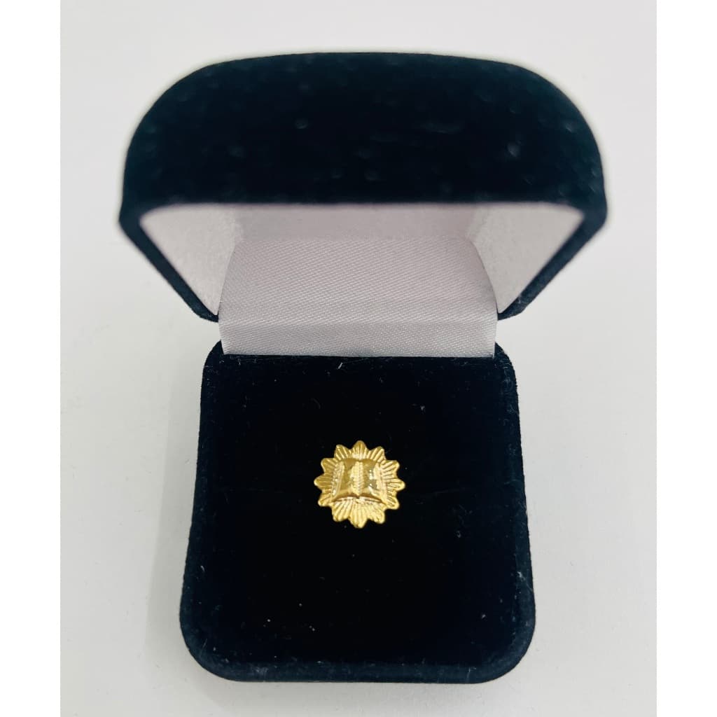 Botom Pin Maçom Maçonaria Orador Dourado