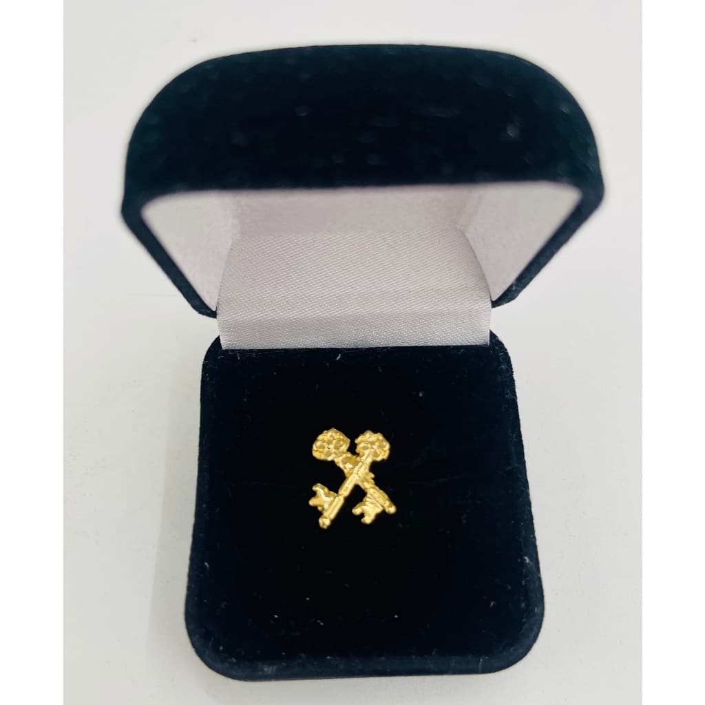 BOTOM PIN MAÇOM MAÇONARIA TESOUREIRO